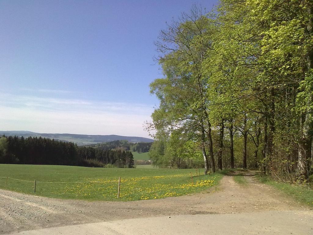 Landpension Wandersruh Langenberg (Erzgebirgskreis) Exterior foto